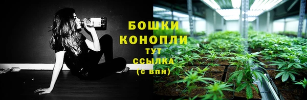гидропоника Алзамай