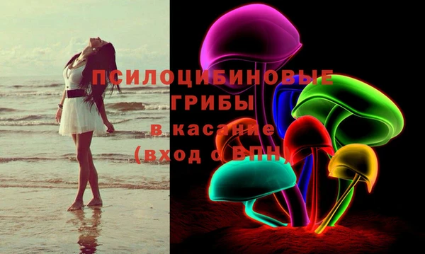 apvp Алексин